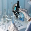 Grado en perfiles STEM: Ingeniería, Biología, Biotecnología o afines 