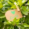 Prácticas Erasmus+ en Grado en Biología en Irlanda